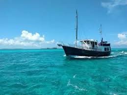 Image result for Bianco 1988 Fleet