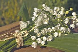 Trouvez les brin de muguet images et les photos d'actualités parfaites sur getty images. 1er Mai Pourquoi Offre T On Du Muguet Ce Jour La Histoire Et Origines De Cette Tradition Sortiraparis Com