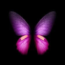 New amazing girly m /life hd wallpapers are added every day. You Can Download The Live Wallpapers From The Galaxy Fold Right Here Sammobile