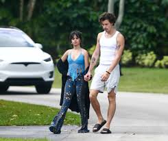 Camila cabello first met whilst on tour when they were both openings for austin mahone, but wasn't close until they met backstage at a taylor swift concert and wrote: Shawn Mendes Explains Zombie Walk With Camila Cabello
