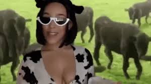 Compilation of cat gifs, most of them are domestic cats and two are wild cats. Cow Gif By Doja Cat Find Share On Giphy