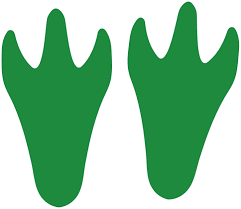 You are better to support them with the dinosaur coloring pages. Amazon Com Litemark Grass Green Permanent Dinosaur Track Floor Footprint Stickers Pack Of 12 Arts Crafts Sewing