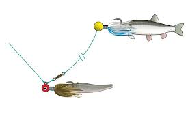 What fishing rigs are the best for beach fishing? 15 Bait Rigs That Will Catch Any Fish Anywhere