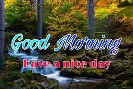We did not find results for: 100 Good Morning Nature Images Hd Quotes Wishes 2021 Collection