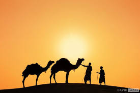 Early rise in dec 4:30am pick up from resort because of the extreme temperatures. Luminous India