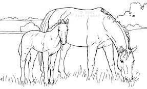 Mare Foal Jpg 684 418 Horse Drawings Horse Coloring Pages Horse Coloring