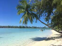 In 1965, brando fell in love with the island of tetiaroa while filming mutiny on the bounty. The Brando Resort Wikipedia