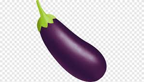 It can be harvested when it is at its baby stage or zucchini is a classic summer squash and botanically a member of cucurbita pepo. Zucchini Png Images Pngegg