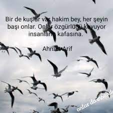 bir de kuslar var hakim bey her seyin basi onlar onlar ozgurlugu koyuyor insanlarin kafasina ahmet arif rumi sozleri resimli alintilar kus sozleri