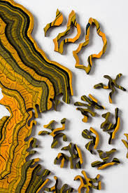 Maybe you would like to learn more about one of these? Geode Generative Jigsaw Puzzles By Nervous System