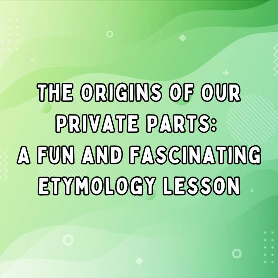 Origins of Our Private Parts: A Fascinating Etymology Lesson | PHRC