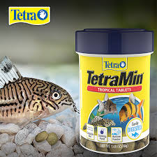 We carry a large selection of tetra species including the beautiful cardinal and neon tetras. Tetra Tropical Fish Food Glofish Food Feeder Food Animals
