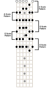 The Lead Guitar 101 Dashboard