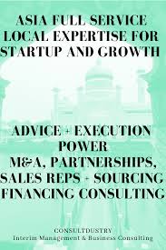 Asia Full Business Development Services Basic Business Plan Business Investment Consulting Business
