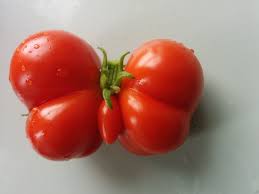 Nature Has Its Ways To Prove It Can Be Funny Absolute Knowledge Funny Fruit Funny Vegetables Fruits And Veggies