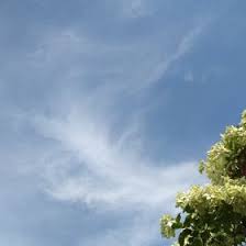 Sosyal medya sadece standart bir arkadaşlık sitesi değil aynı zamanda, bir pr sayfasıdır. Daraa Adedara722 Profil Pinterest