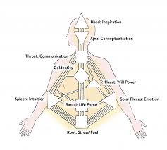 Human Design How To Read A Bodygraph Chart Goop Human Design Human Design System Human