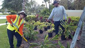 Palm trees, nursery & gardening, landscaping in dallas, tx. How Much Does Commercial Landscaping Cost In Dallas Tx