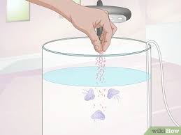 This jellyfish tank is a guaranteed head turner! How To Start A Jellyfish Tank With Pictures Wikihow