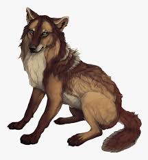 How to draw anime wolves. Anime Wolf Png Brown Female Anime Wolves Transparent Png Kindpng