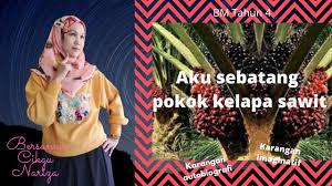 Selain pupuk mop/kcl tanaman kelapa sawit juga membutuhkan pupuk urea, dolomite, rock phosphat dan borate. Bm Tahun 4 Sk Kssr L Aku Sebatang Pokok Kelapa Sawit Youtube