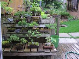 Mini Japanese Style Garden Small Japanese Garden Mini Zen Garden Japanese Garden