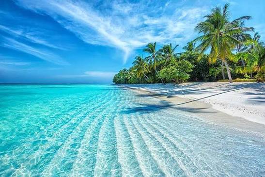 23 Best Beaches in the US for Your Next Coastal Escape