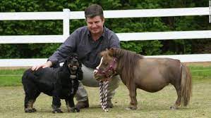 Meet Big Jake And Thumbelina The Tallest And Smallest Horse In The World Cnn