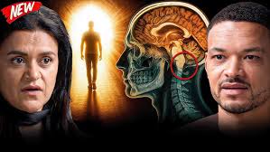 The Behaviour Expert: Instantly Read Any Room & How To Hack Your  Discipline! Chase Hughes