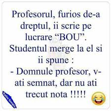 Cele Mai Bune Glume Cu Bula