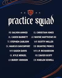 Chicago Bears (@chicagobears) - Instagram