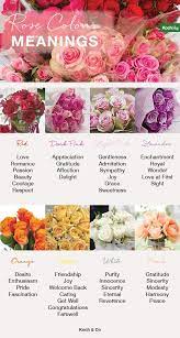 What Does Each Colour Rose Mean Rose Color Guide The Koch Blog Rose Color Meanings Rose Color Sympathy Flowers