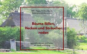 Ist es schon schwierig, die geeigneten schnittzeiträume für bäume zu bestimmen. Diy Wann Ist Der Richtige Zeitpunkt Um Einen Baum Zu Fallen