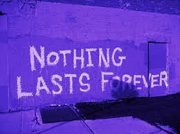 Black And White Graffiti Aesthetic Image About Art In Purple By Action Cat Black And White Photo Wall Black And White Picture Wall Black And White Graffiti