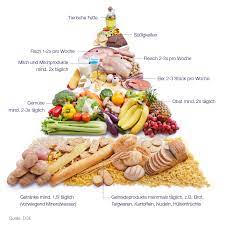 Diabetes mellitus typ ii 1.1.1. Ihr Beitrag Zur Diabetes Therapie Zuckerkrank De