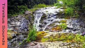 Just click the green download button above to start. Tinnitus Music Therapy Best Tinnitus Sound Generator Youtube