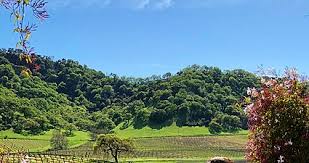 Check spelling or type a new query. Morgan Hill California Wikipedia