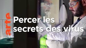 # vimeo.com/40549927 uploaded 9 years ago 11.2k views0 likes0 comments. Documentaire C Est Pas Sorcier L Hospital De La Tete Aux Pieds En Streaming Les Docus Com