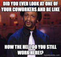 Common traditional job interview questions. 40 Funny Coworker Memes About Your Colleagues Sayingimages Com