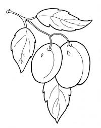 Puteți folosi aceste planse de colorat gratuite pentru copiii dvs. Desene Cu Prune De Colorat Imagini È™i PlanÈ™e De Colorat Cu Prune
