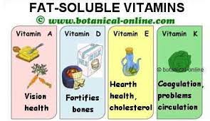 Vitamins are classified into two categories: Fat Soluble Vitamins Characteristics Botanical Online