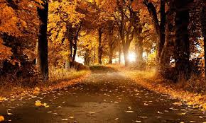 ~ upih pergam datang, suruh putih hitam datang prb lain yg dihajati, lain yg didapat; Teka Teki Tentang Musim Luruh Teka Teki Ringkas Tentang Musim Luruh Untuk Kanak Kanak