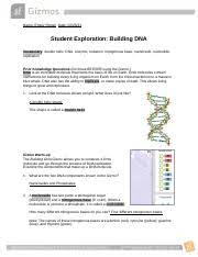 (more)ched materials which i obtained from mysciencebox.com. Buildingdna Gizmo 2021 1 Docx Name Emely Portan Date Student Exploration Building Dna Vocabulary Double Helix Dna Enzyme Mutation Nitrogenous Base Course Hero