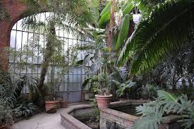 Immersion Tropicale Dans Les Serres Du Jardin Botanique Jardin Botanique Jardin D Hiver Botanique