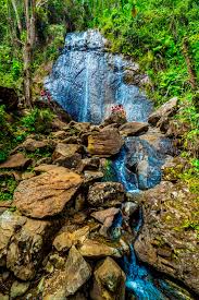 La coca falls and yokahu.…situated on a river, this historic chalet is within 1 mi (2 km) of junglequi rainforest ecoadventure park and el yunque national forest. El Yunque Nf On Twitter La Coca Falls Is Open And Ready To Be Enjoyed This Is One Of The Most Spectacular Waterfalls In The Elyunque Rainforest Https T Co R3g18hckrx