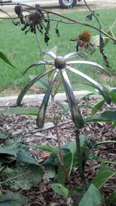 The Stone House Primitives My Yard 2 Lawn Art Cutlery Art Metal Garden Art