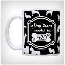 Black And Decker Brew And Go Paper Filter 37 Awesome 60th Birthday Gift Ideas That Will Make Them Laugh And Cry Dodo Burd 40th Birthday Gifts 60th Birthday Gifts Birthday Gifts