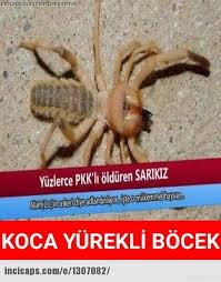 Bocek Degil Insan Bu Vatan Hainlerinden De Milyon Kat Iyi Mizah Komik Seyler Komik