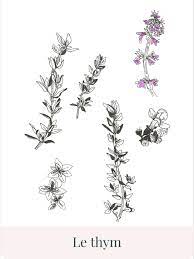 We did not find results for: Illustration Plante Infusion Leaf Tattoos Maple Leaf Tattoo Illustration