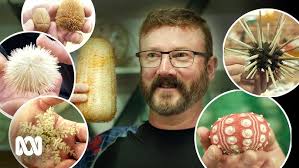 Scott Ling: Revolutionising Strategies to Combat Sea Urchins